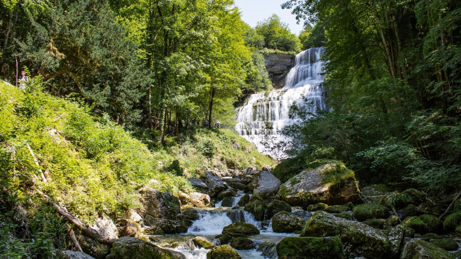 Апартаменты T2 Cosy Au Coeur Du Haut-Jura, Parking Gratuit Морбье Экстерьер фото